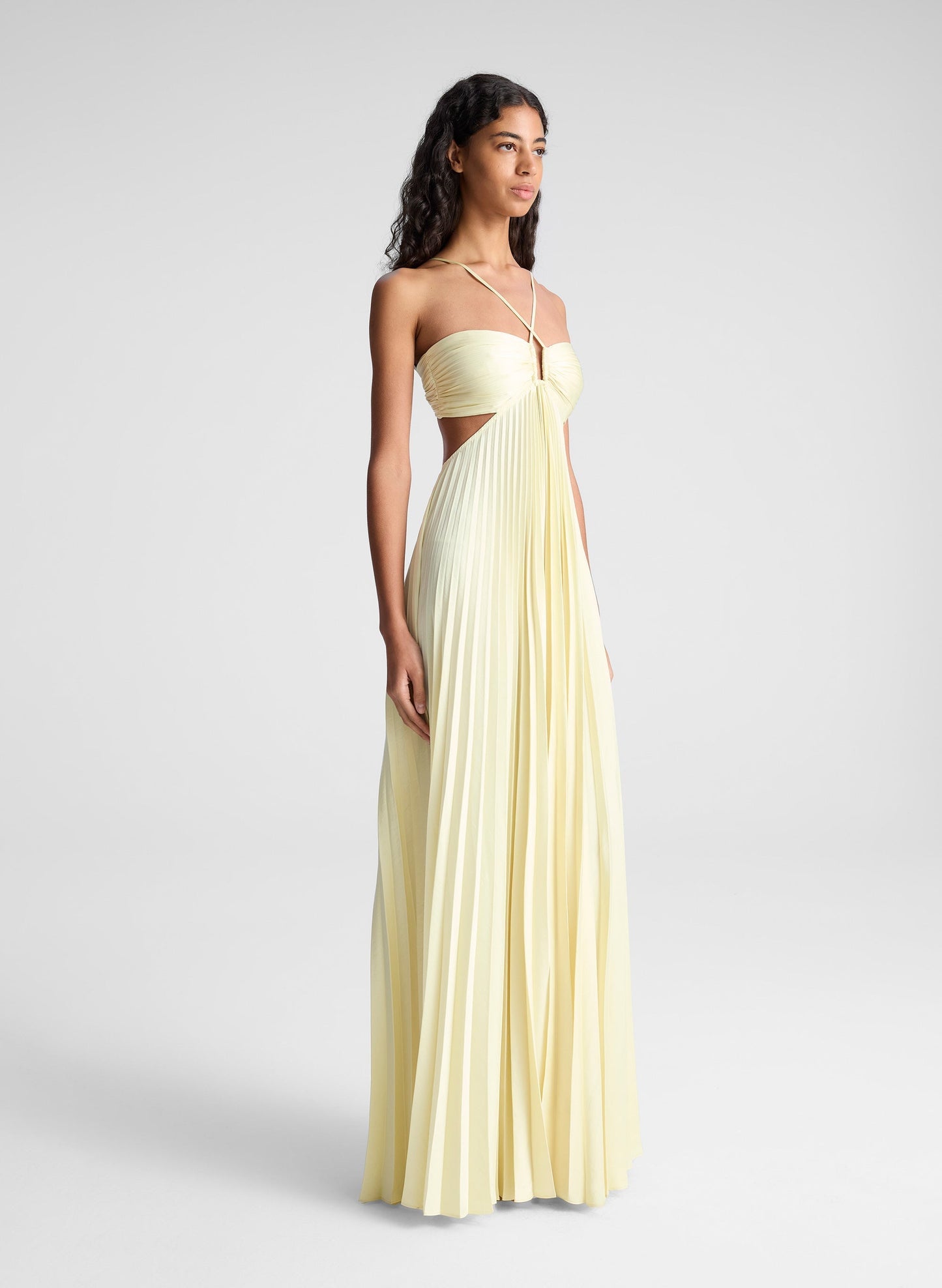 Sienna™ - Pleated Skirt Maxi Dress